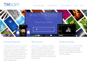 How tmsoft.com looks like on a tablet such as an iPad.