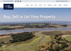 How todanstee.com looks like on a tablet such as an iPad.