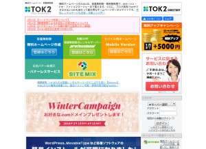 How tok2.com looks like on a tablet such as an iPad.