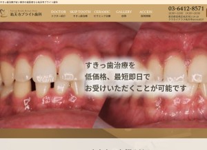 How tokyo-ceramic.com looks like on a tablet such as an iPad.