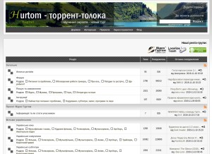How toloka.to looks like on a tablet such as an iPad.