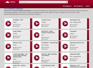How tones6.com looks like on a tablet such as an iPad.
