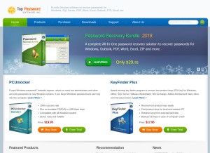 How top-password.com looks like on a tablet such as an iPad.