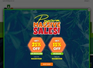 How topbcbuds.cc looks like on a tablet such as an iPad.