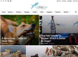 How topdogtips.com looks like on a tablet such as an iPad.