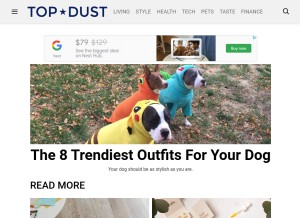 How topdust.com looks like on a tablet such as an iPad.