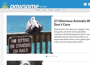 How topixpawsome.com looks like on a tablet such as an iPad.