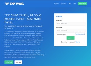 How topsmmpanel.com looks like on a tablet such as an iPad.