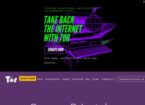 How torproject.org looks like on a tablet such as an iPad.