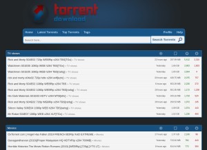 How torrentdownload.info looks like on a tablet such as an iPad.