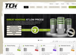 How totalchoicehosting.com looks like on a tablet such as an iPad.