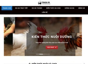 How traiga.vn looks like on a tablet such as an iPad.