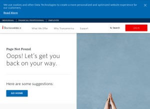 How transamerica.com looks like on a tablet such as an iPad.