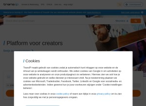 How transip.nl looks like on a tablet such as an iPad.