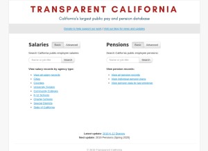How transparentcalifornia.com looks like on a tablet such as an iPad.