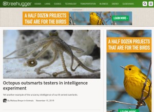 How treehugger.com looks like on a tablet such as an iPad.