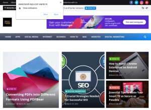 How trend-rays.com looks like on a tablet such as an iPad.