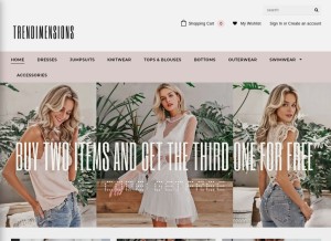 How trendimensions.com looks like on a tablet such as an iPad.