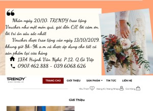 How trendy.vn looks like on a tablet such as an iPad.