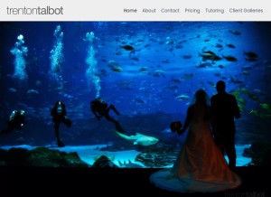 How trentontalbot.com looks like on a tablet such as an iPad.
