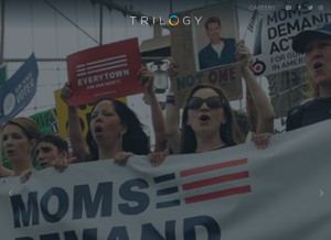 How trilogyinteractive.com looks like on a tablet such as an iPad.