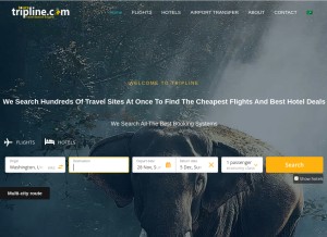 How triplinetours.com looks like on a tablet such as an iPad.
