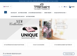 How tropsaint.com looks like on a tablet such as an iPad.
