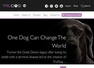 How trudog.com looks like on a tablet such as an iPad.