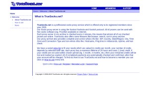 How truesocks.net looks like on a tablet such as an iPad.