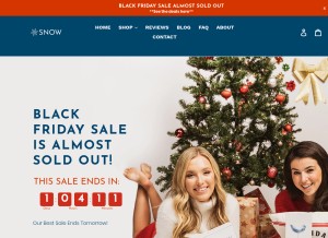 How trysnow.com looks like on a tablet such as an iPad.