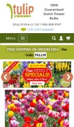 How tulipworld.com looks like on a mobile device such as an iPhone.