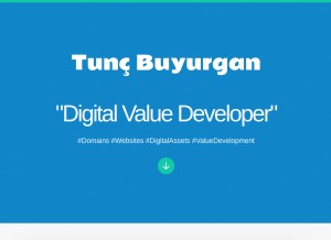 How tuncbuyurgan.com looks like on a tablet such as an iPad.