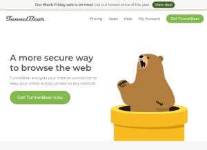 How tunnelbear.com looks like on a tablet such as an iPad.