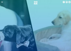 How twentytwowords.com looks like on a tablet such as an iPad.