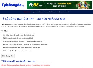 How tylebongda.vip looks like on a tablet such as an iPad.