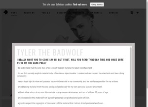 How tylerthebadwolf.com looks like on a tablet such as an iPad.
