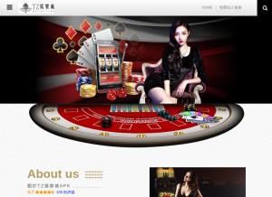 How tz678.net looks like on a tablet such as an iPad.