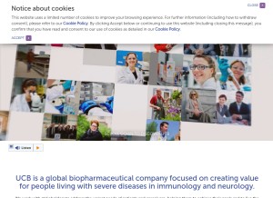 How ucb.com looks like on a tablet such as an iPad.