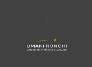How umanironchi.com looks like on a tablet such as an iPad.