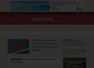 How undercurrentnews.com looks like on a tablet such as an iPad.
