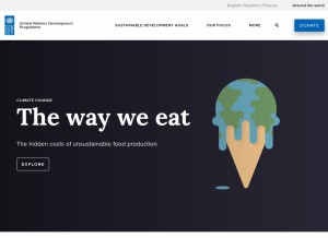 How undp.org looks like on a tablet such as an iPad.