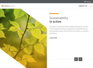 How univarsolutions.com looks like on a tablet such as an iPad.