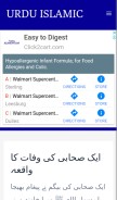 How urduislamic.com looks like on a mobile device such as an iPhone.