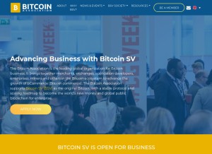 How usebsv.com looks like on a tablet such as an iPad.