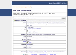 How useragentstring.com looks like on a tablet such as an iPad.