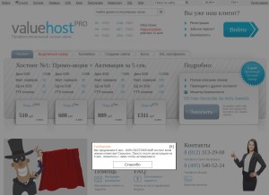 How valuehost.ru looks like on a tablet such as an iPad.
