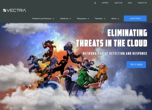 How vectranetworks.com looks like on a tablet such as an iPad.