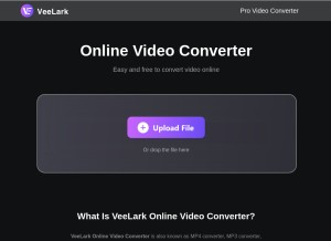 How veelark.com looks like on a tablet such as an iPad.
