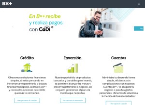 How vepormas.com looks like on a tablet such as an iPad.
