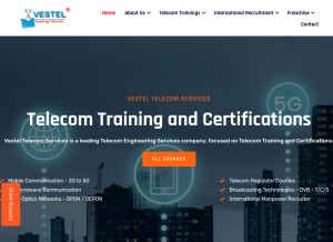 How vestel.co.in looks like on a tablet such as an iPad.